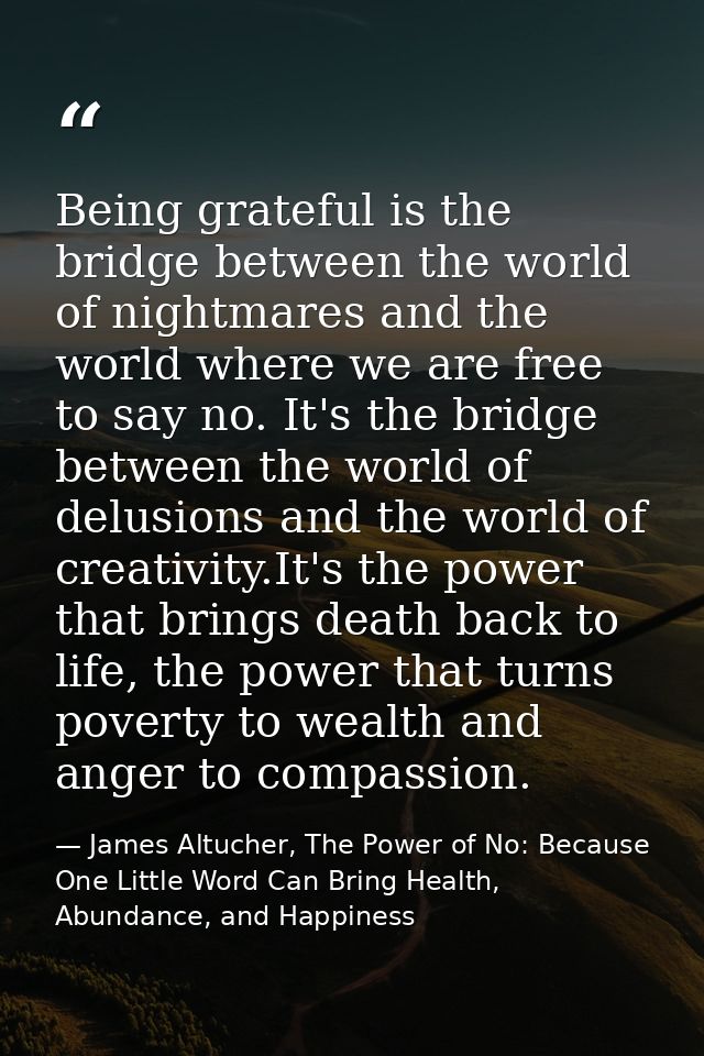 Being grateful is the bridge between the world of nightmares and the world where we are free to say no. It's the bridge  — James Altucher, The Power of No: Because One Little Word Can Bring Health, Abundance, and Happiness