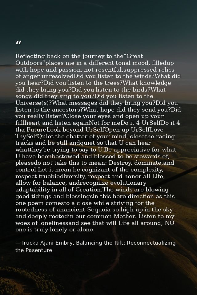 Reflecting back on the journey to the“Great Outdoors”places me in a different tonal mood, filledup with hope and passion — Irucka Ajani Embry, Balancing the Rift: Reconnectualizing the Pasenture