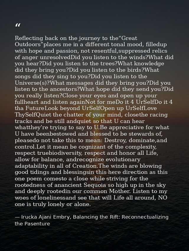 Reflecting back on the journey to the“Great Outdoors”places me in a different tonal mood, filledup with hope and passion — Irucka Ajani Embry, Balancing the Rift: Reconnectualizing the Pasenture
