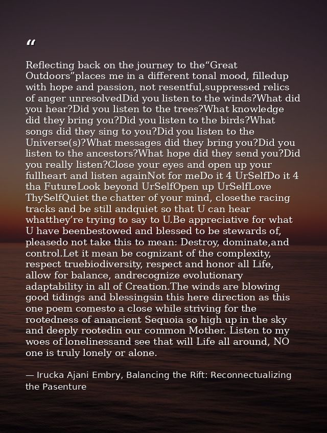 Reflecting back on the journey to the“Great Outdoors”places me in a different tonal mood, filledup with hope and passion — Irucka Ajani Embry, Balancing the Rift: Reconnectualizing the Pasenture