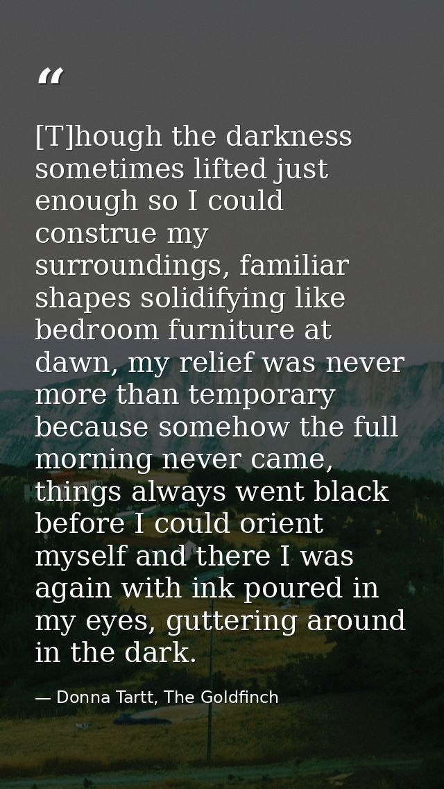 [T]hough the darkness sometimes lifted just enough so I could construe my surroundings, familiar shapes solidifying like — Donna Tartt, The Goldfinch
