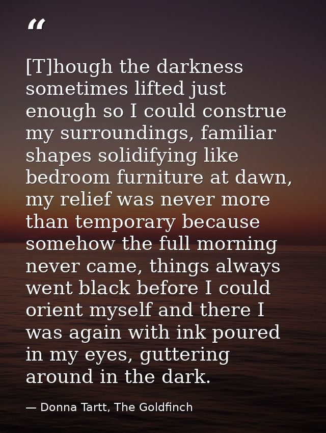[T]hough the darkness sometimes lifted just enough so I could construe my surroundings, familiar shapes solidifying like — Donna Tartt, The Goldfinch
