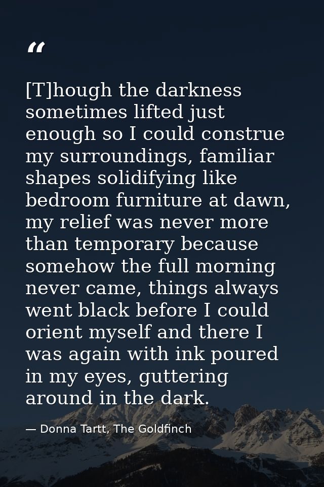 [T]hough the darkness sometimes lifted just enough so I could construe my surroundings, familiar shapes solidifying like — Donna Tartt, The Goldfinch