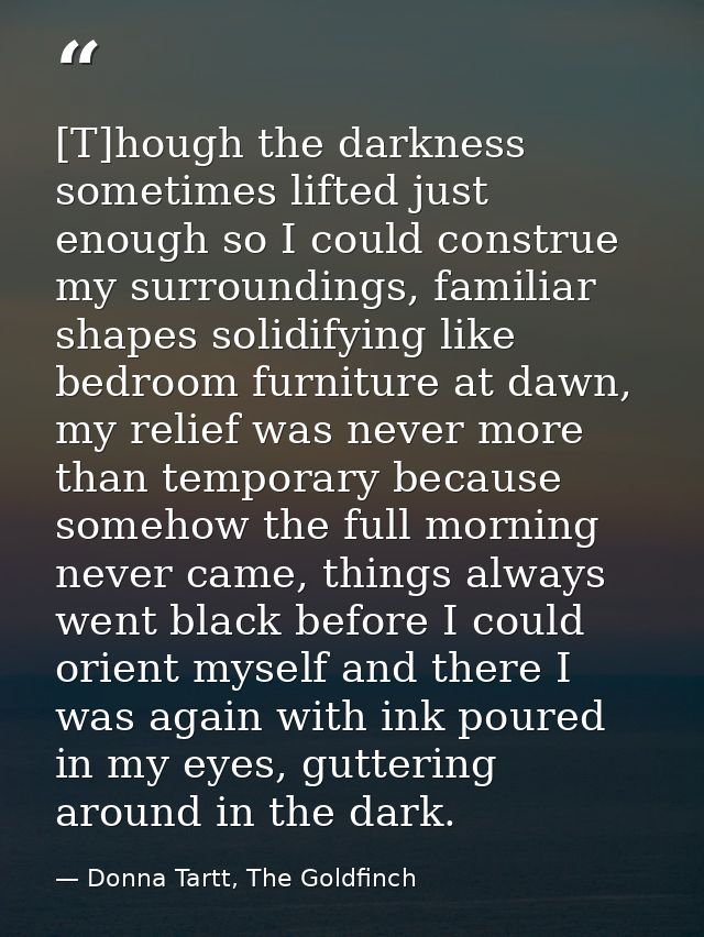 [T]hough the darkness sometimes lifted just enough so I could construe my surroundings, familiar shapes solidifying like — Donna Tartt, The Goldfinch