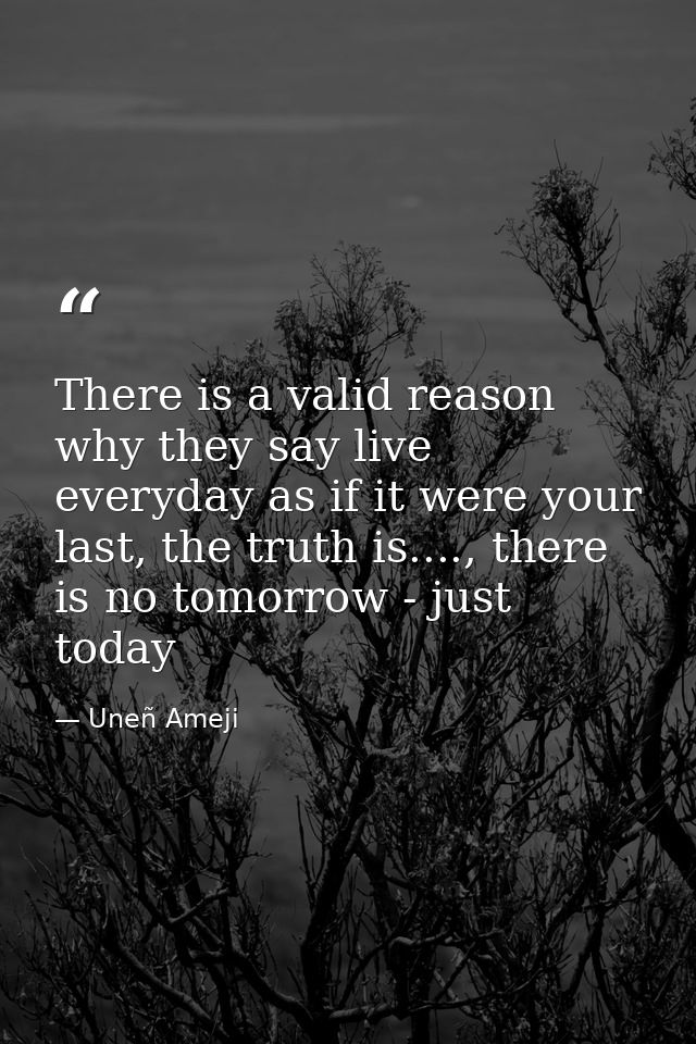 There is a valid reason why they say live everyday as if it were your last, the truth is...., there is no tomorrow - jus — Uneñ Ameji