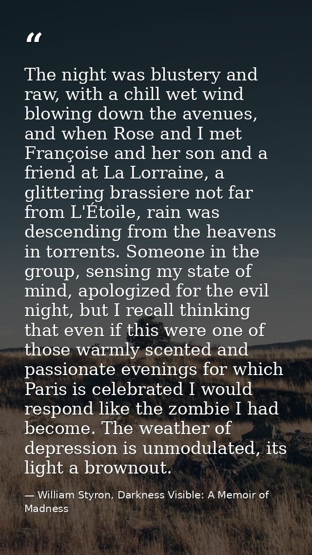 The night was blustery and raw, with a chill wet wind blowing down the avenues, and when Rose and I met Françoise and he — William Styron, Darkness Visible: A Memoir of Madness