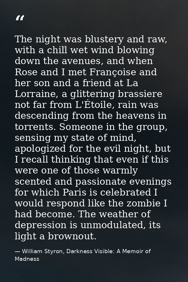 The night was blustery and raw, with a chill wet wind blowing down the avenues, and when Rose and I met Françoise and he — William Styron, Darkness Visible: A Memoir of Madness