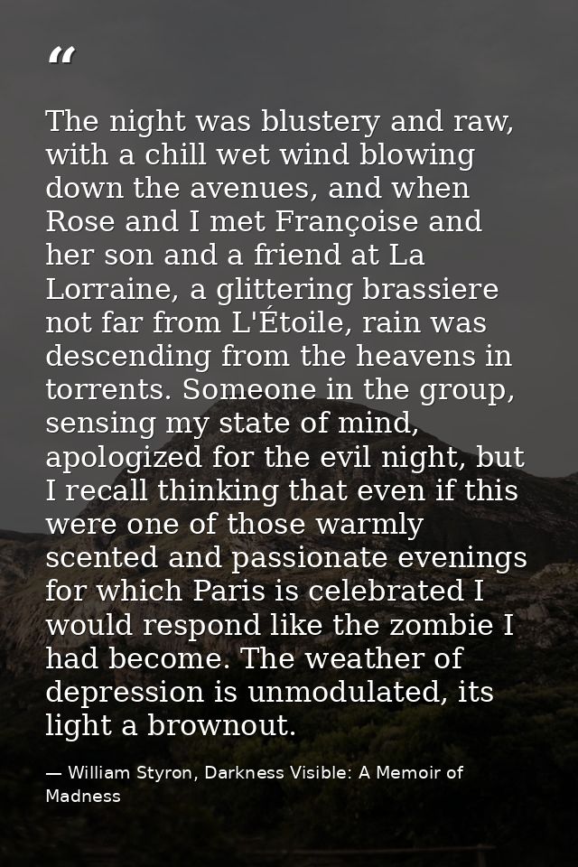 The night was blustery and raw, with a chill wet wind blowing down the avenues, and when Rose and I met Françoise and he — William Styron, Darkness Visible: A Memoir of Madness
