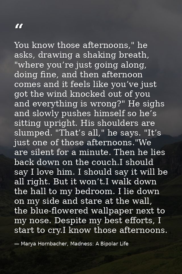 You know those afternoons," he asks, drawing a shaking breath, "where you’re just going along, doing fine, and then afte — Marya Hornbacher, Madness: A Bipolar Life
