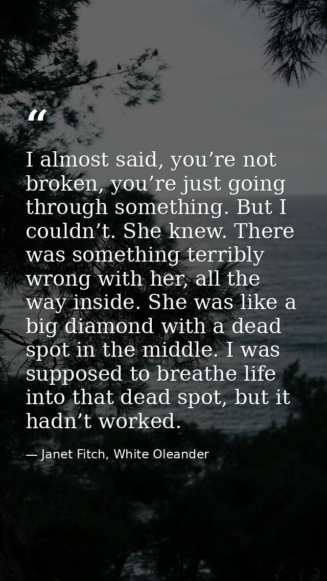 I almost said, you’re not broken, you’re just going through something. But I couldn’t. She knew. There was something ter — Janet Fitch, White Oleander