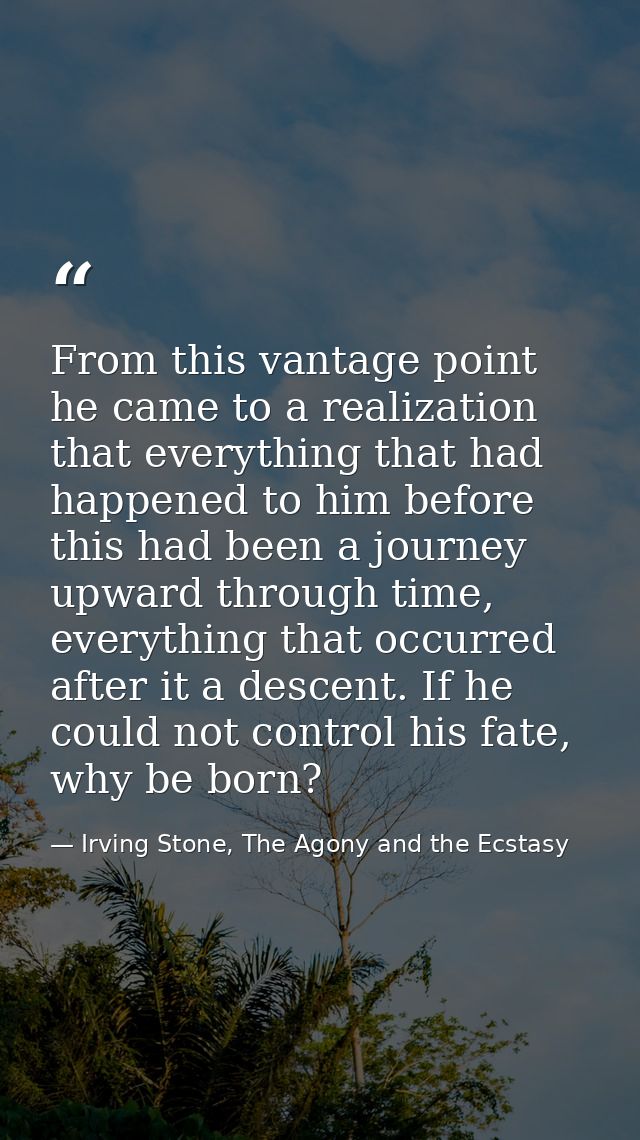 From this vantage point he came to a realization that everything that had happened to him before this had been a journey — Irving Stone, The Agony and the Ecstasy
