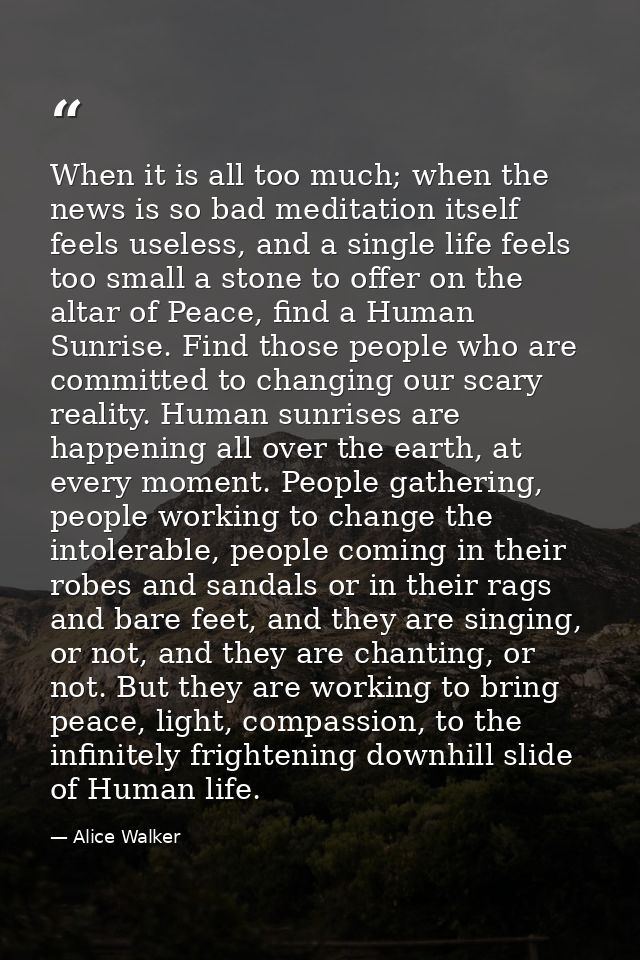 When it is all too much; when the news is so bad meditation itself feels useless, and a single life feels too small a st — Alice Walker