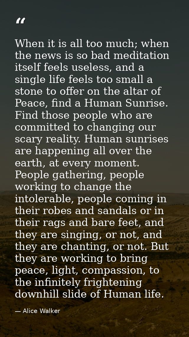 When it is all too much; when the news is so bad meditation itself feels useless, and a single life feels too small a st — Alice Walker