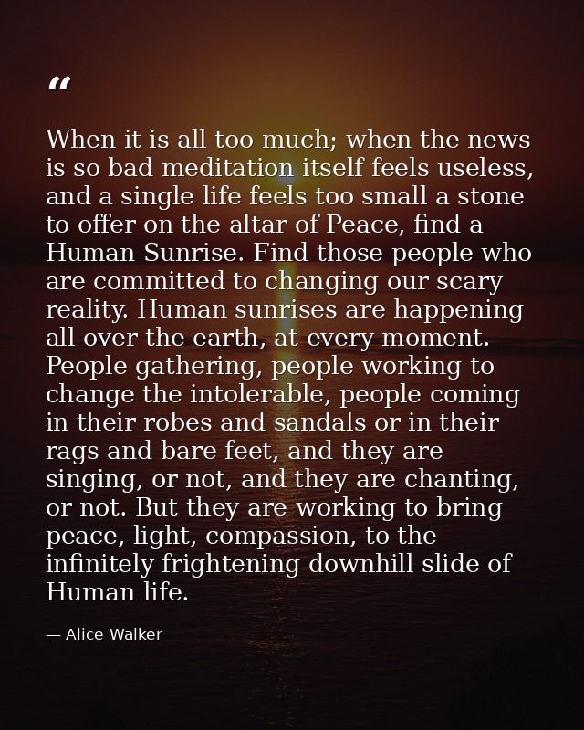 When it is all too much; when the news is so bad meditation itself feels useless, and a single life feels too small a st — Alice Walker
