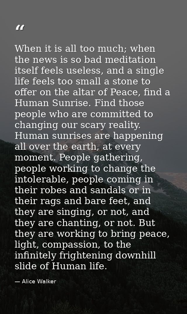 When it is all too much; when the news is so bad meditation itself feels useless, and a single life feels too small a st — Alice Walker