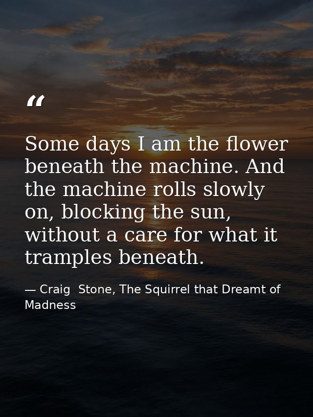 Some days I am the flower beneath the machine. And the machine rolls slowly on, blocking the sun, without a care for wha — Craig  Stone, The Squirrel that Dreamt of Madness