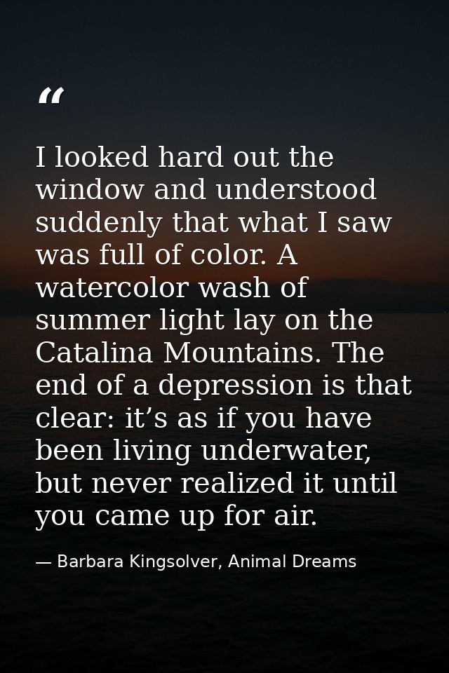 I looked hard out the window and understood suddenly that what I saw was full of color. A watercolor wash of summer ligh — Barbara Kingsolver, Animal Dreams