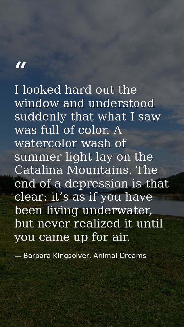 I looked hard out the window and understood suddenly that what I saw was full of color. A watercolor wash of summer ligh — Barbara Kingsolver, Animal Dreams