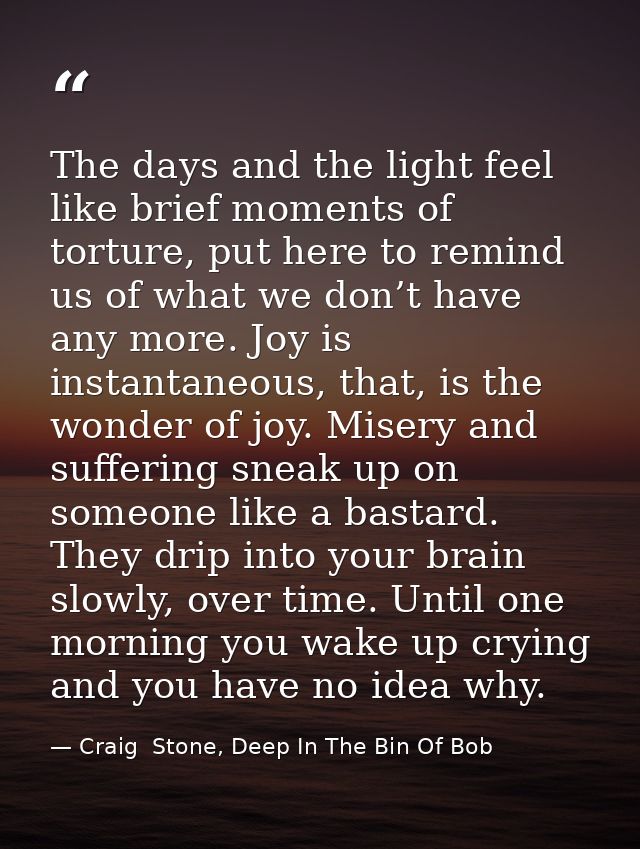 The days and the light feel like brief moments of torture, put here to remind us of what we don’t have any more. Joy is  — Craig  Stone, Deep In The Bin Of Bob