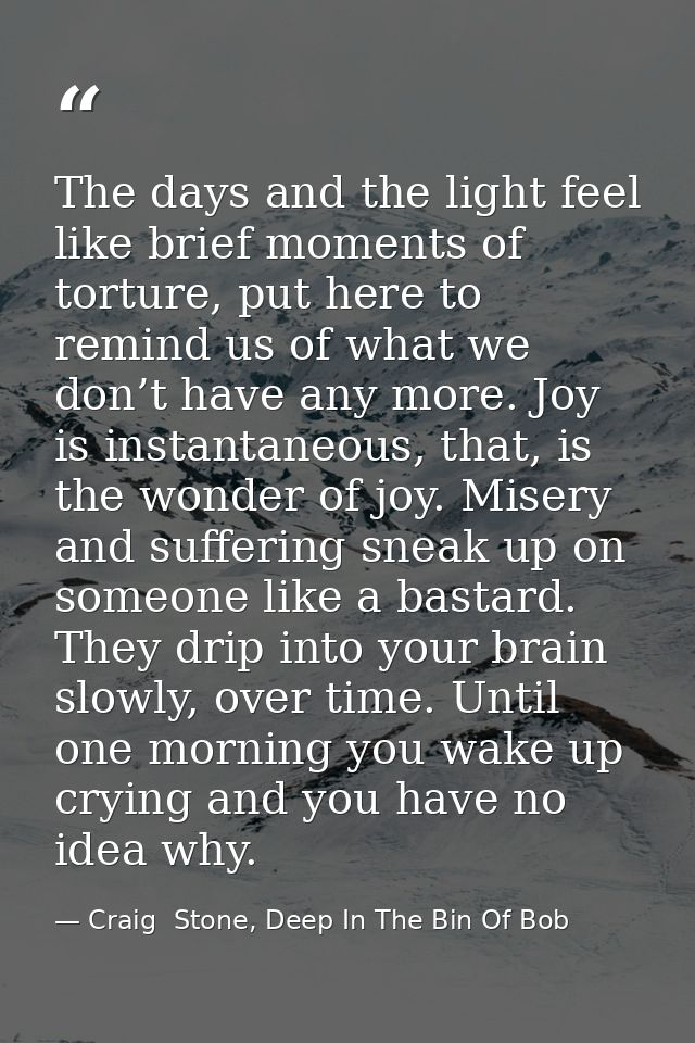 The days and the light feel like brief moments of torture, put here to remind us of what we don’t have any more. Joy is  — Craig  Stone, Deep In The Bin Of Bob