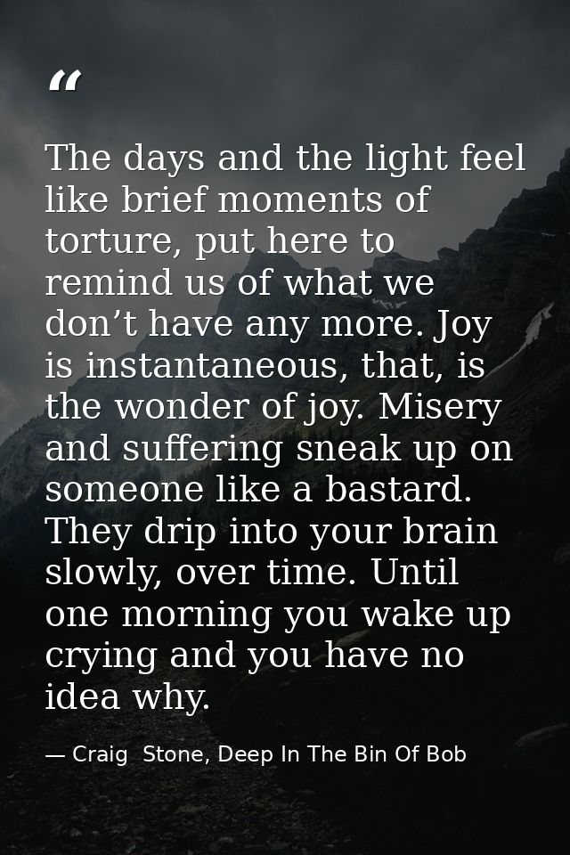 The days and the light feel like brief moments of torture, put here to remind us of what we don’t have any more. Joy is  — Craig  Stone, Deep In The Bin Of Bob