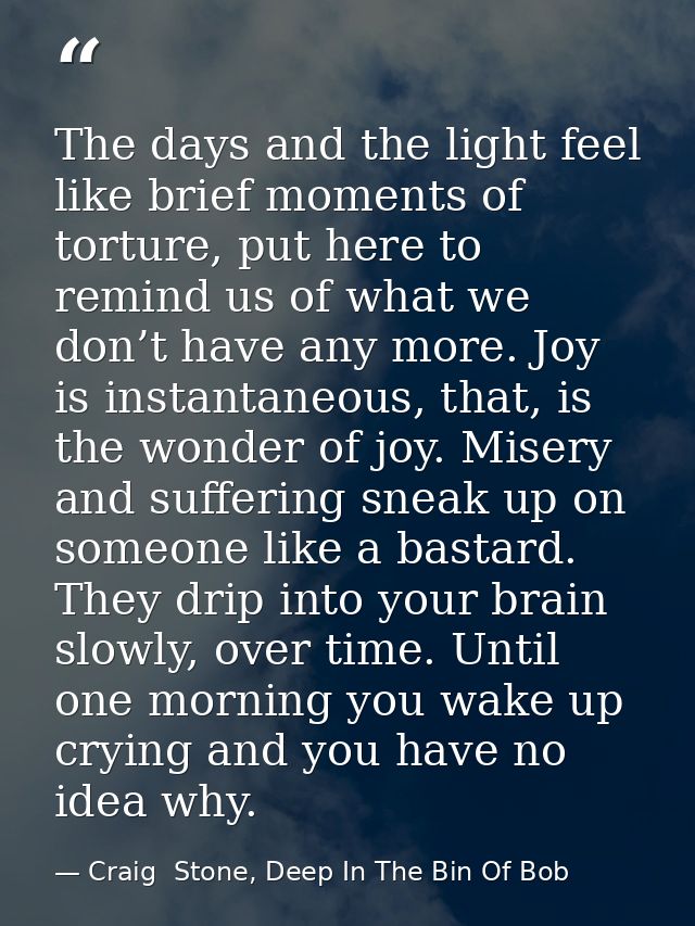 The days and the light feel like brief moments of torture, put here to remind us of what we don’t have any more. Joy is  — Craig  Stone, Deep In The Bin Of Bob