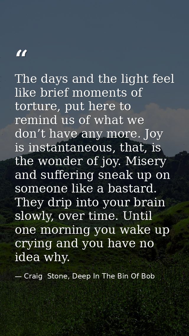 The days and the light feel like brief moments of torture, put here to remind us of what we don’t have any more. Joy is  — Craig  Stone, Deep In The Bin Of Bob