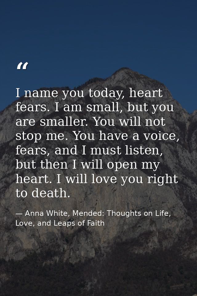 I name you today, heart fears. I am small, but you are smaller. You will not stop me. You have a voice, fears, and I mus — Anna White, Mended: Thoughts on Life, Love, and Leaps of Faith