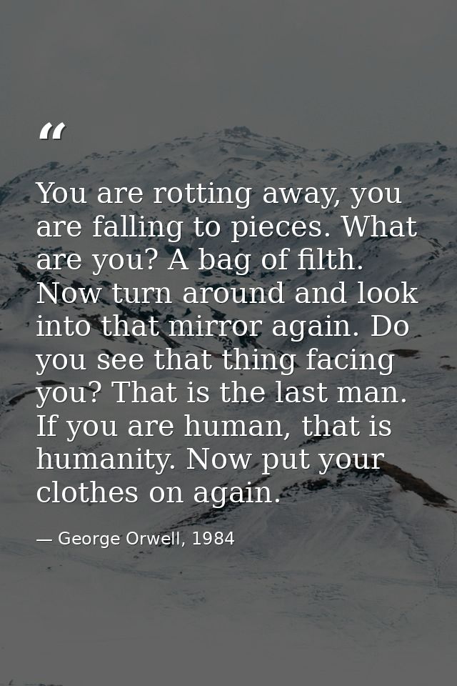 You are rotting away, you are falling to pieces. What are you? A bag of filth. Now turn around and look into that mirror — George Orwell, 1984