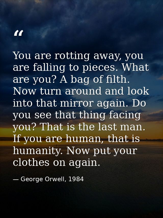You are rotting away, you are falling to pieces. What are you? A bag of filth. Now turn around and look into that mirror — George Orwell, 1984