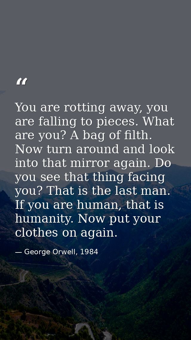 You are rotting away, you are falling to pieces. What are you? A bag of filth. Now turn around and look into that mirror — George Orwell, 1984