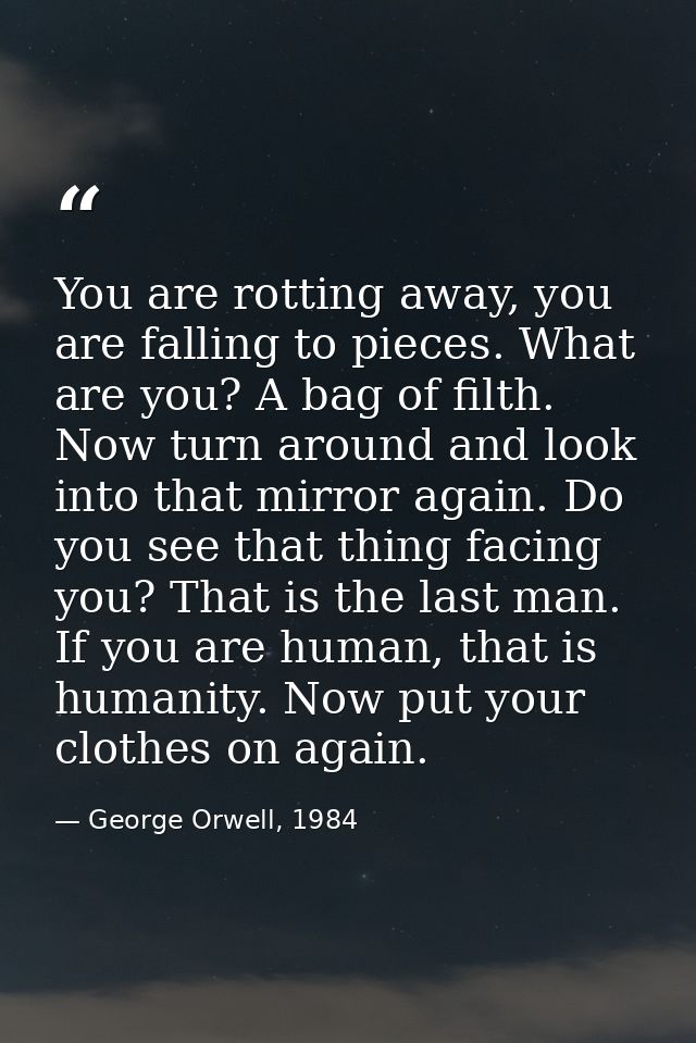 You are rotting away, you are falling to pieces. What are you? A bag of filth. Now turn around and look into that mirror — George Orwell, 1984