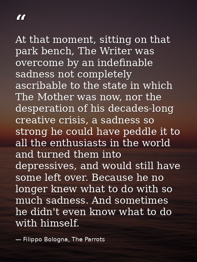 At that moment, sitting on that park bench, The Writer was overcome by an indefinable sadness not completely ascribable  — Filippo Bologna, The Parrots