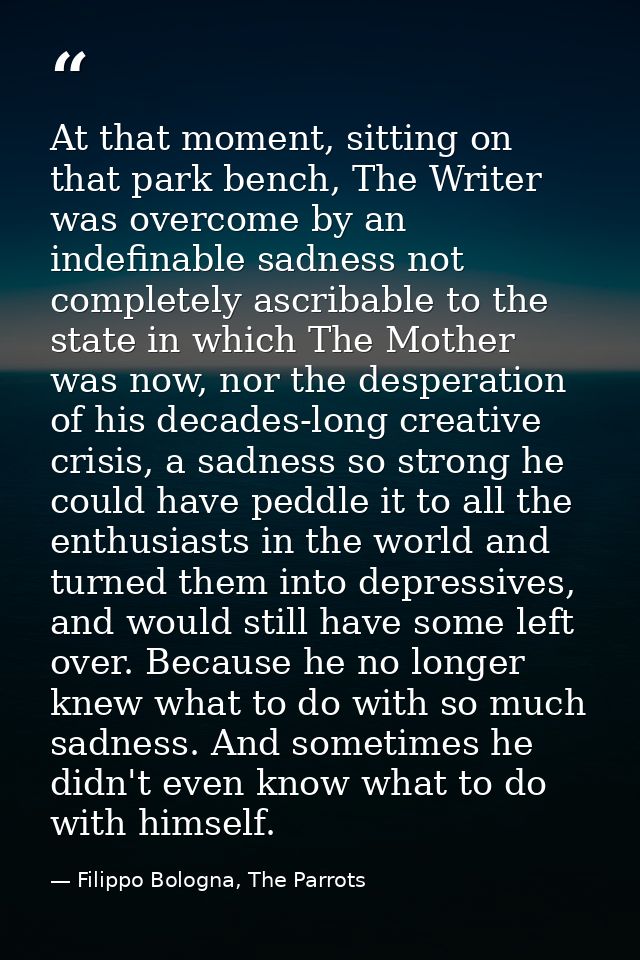 At that moment, sitting on that park bench, The Writer was overcome by an indefinable sadness not completely ascribable  — Filippo Bologna, The Parrots