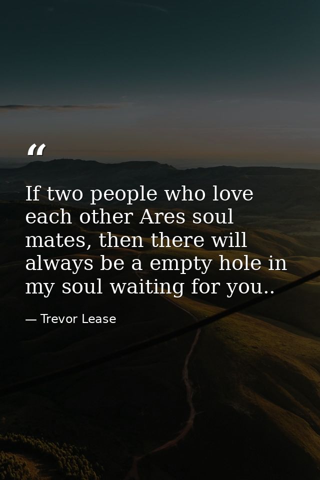 If two people who love each other Ares soul mates, then there will always be a empty hole in my soul waiting for you.. — Trevor Lease