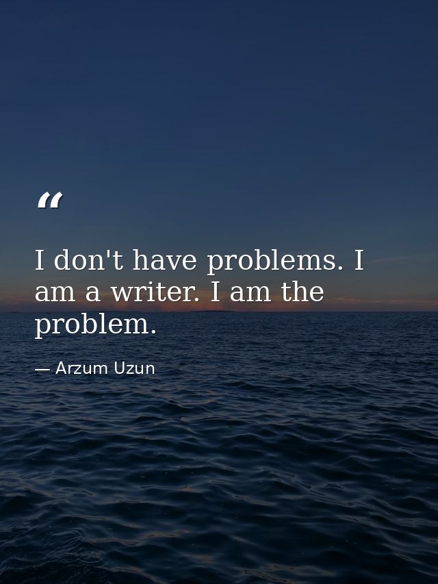 I don't have problems. I am a writer. I am the problem. — Arzum Uzun