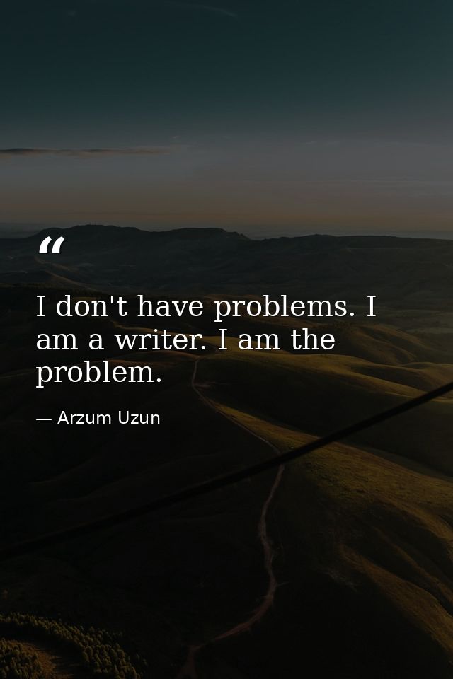 I don't have problems. I am a writer. I am the problem. — Arzum Uzun
