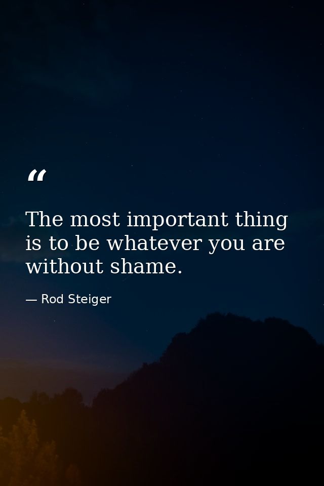 The most important thing is to be whatever you are without shame. — Rod Steiger