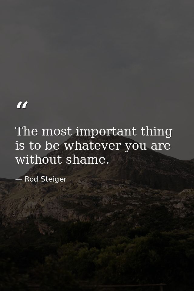 The most important thing is to be whatever you are without shame. — Rod Steiger