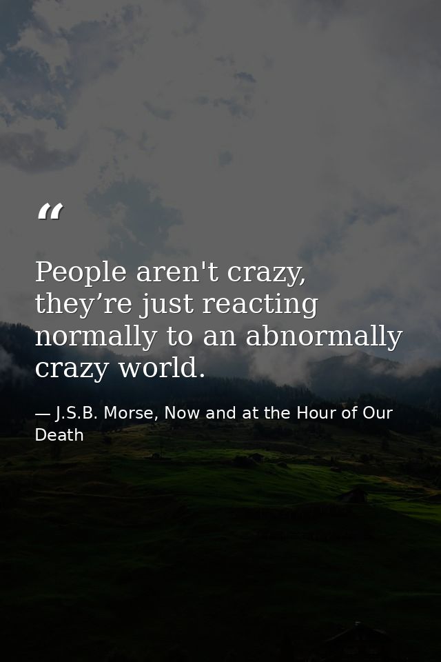 People aren't crazy, they’re just reacting normally to an abnormally crazy world. — J.S.B. Morse, Now and at the Hour of Our Death