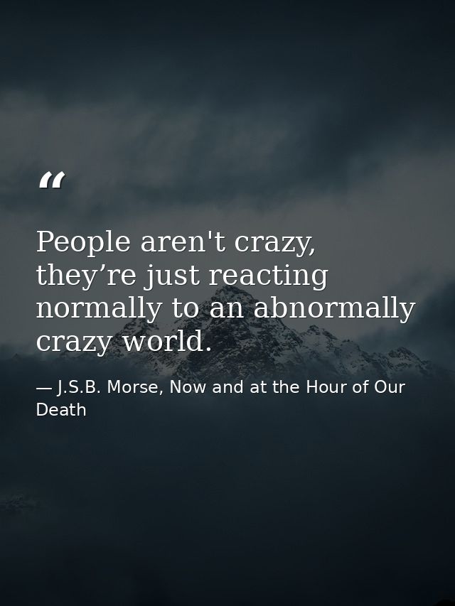 People aren't crazy, they’re just reacting normally to an abnormally crazy world. — J.S.B. Morse, Now and at the Hour of Our Death