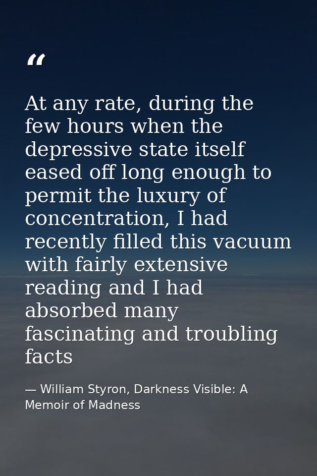 At any rate, during the few hours when the depressive state itself eased off long enough to permit the luxury of concent — William Styron, Darkness Visible: A Memoir of Madness