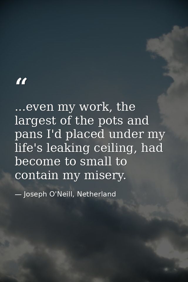 ...even my work, the largest of the pots and pans I'd placed under my life's leaking ceiling, had become to small to con — Joseph O'Neill, Netherland