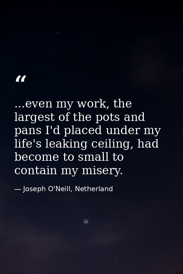 ...even my work, the largest of the pots and pans I'd placed under my life's leaking ceiling, had become to small to con — Joseph O'Neill, Netherland