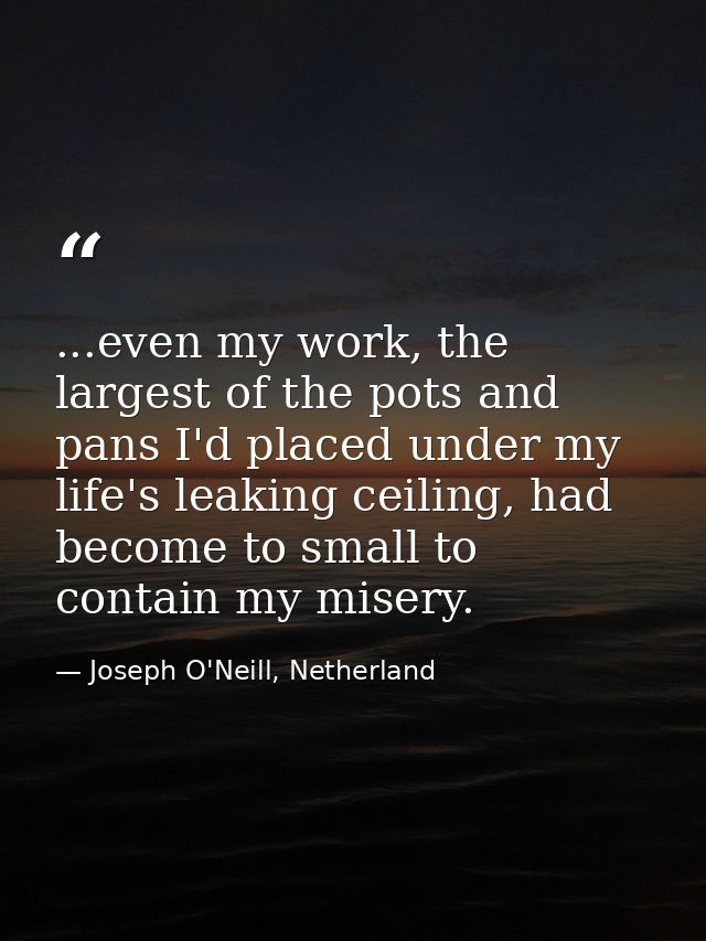 ...even my work, the largest of the pots and pans I'd placed under my life's leaking ceiling, had become to small to con — Joseph O'Neill, Netherland