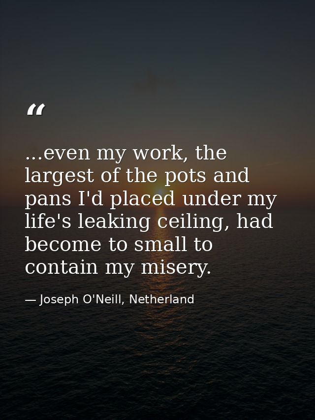 ...even my work, the largest of the pots and pans I'd placed under my life's leaking ceiling, had become to small to con — Joseph O'Neill, Netherland