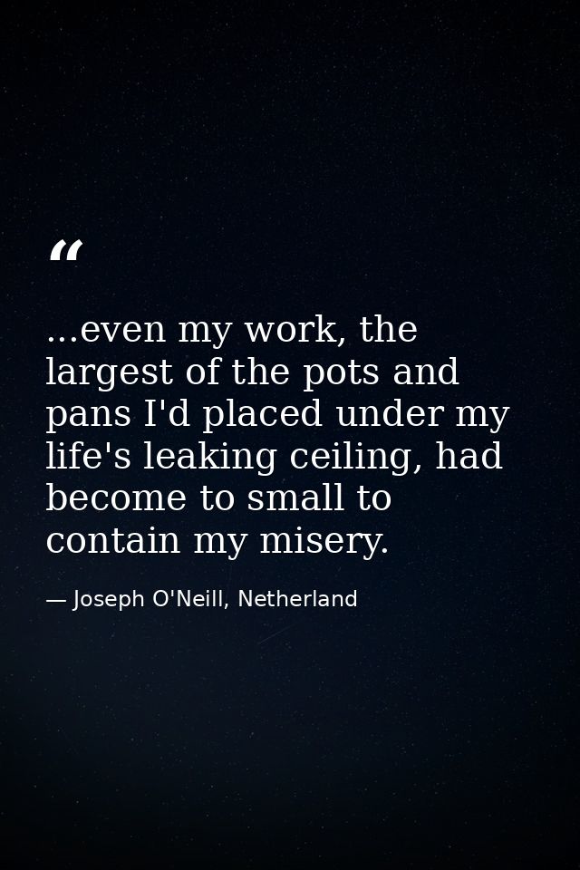 ...even my work, the largest of the pots and pans I'd placed under my life's leaking ceiling, had become to small to con — Joseph O'Neill, Netherland