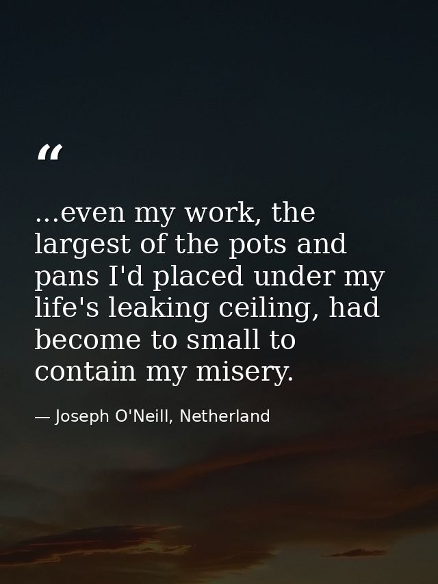 ...even my work, the largest of the pots and pans I'd placed under my life's leaking ceiling, had become to small to con — Joseph O'Neill, Netherland