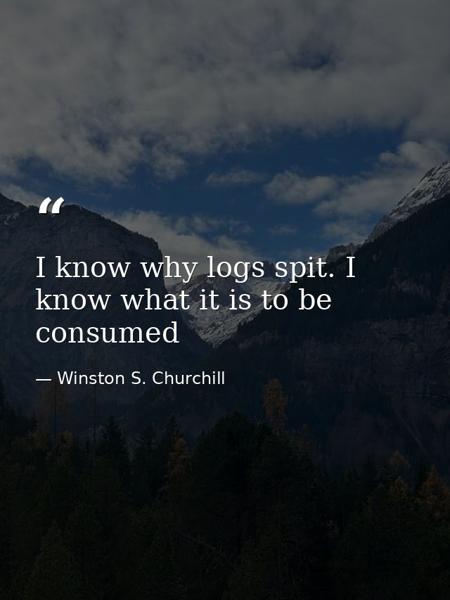I know why logs spit. I know what it is to be consumed — Winston S. Churchill