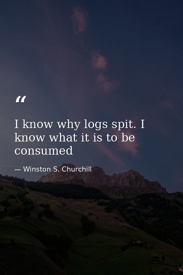 I know why logs spit. I know what it is to be consumed — Winston S. Churchill